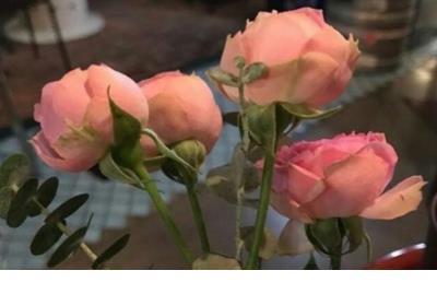 心情句子说说心情短语 励志说说致自己短语