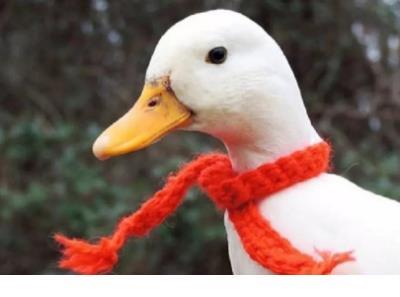 很温柔的文案配图 唯美的文案