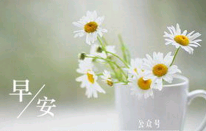 给远方朋友早安的句子