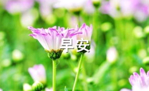 描写早安的幽默句子大全集