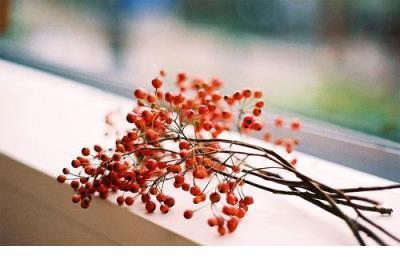 一句话经典语录短句 一句话简单的晒兄妹句子