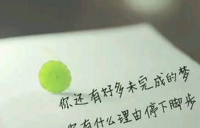 小学生励志感恩的句子