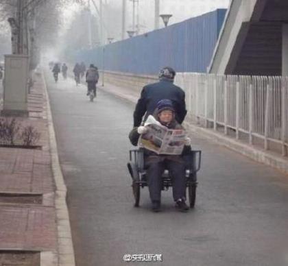 朋友圈励志说说的好句子 儿子不读书，不如养猪