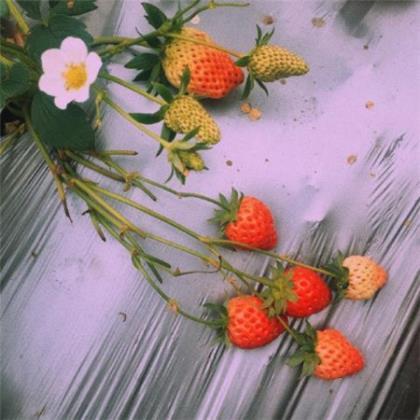 分手之后还能做朋友