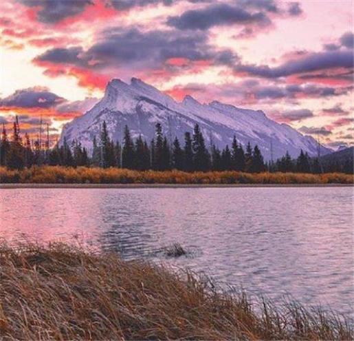 森系治愈文艺个性签名 虚荣的女人被人看不起