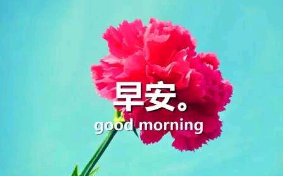 老韩家早安图片跟句子