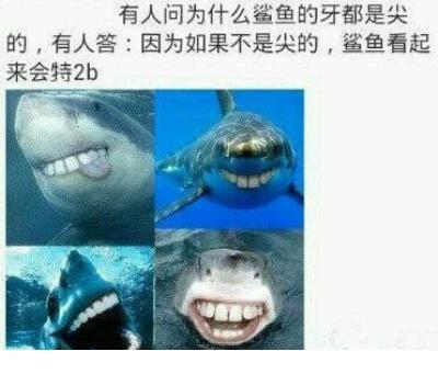 想念女朋友的句子幽默 生活中有很多这样的奇迹