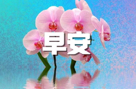 中秋节早安句子