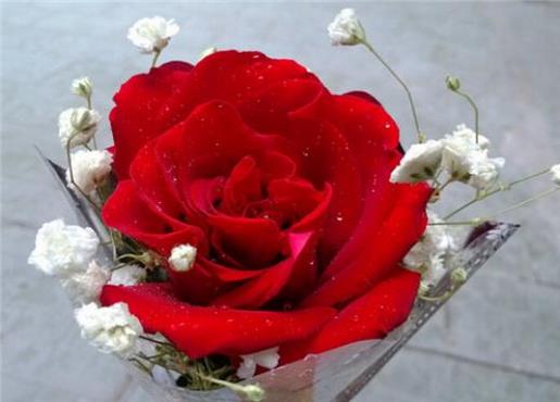 成长是一种体验,成熟是一种体验