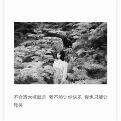 适合发快手的文案伤感