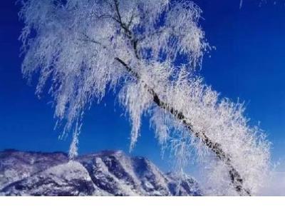 适合过年回家发的朋友圈语录