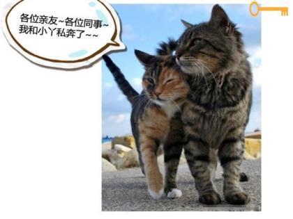 晚安心语暖心一句话 晚安励志心语一句话