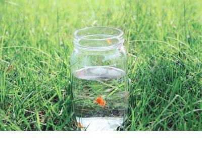 和男朋友冷战的说说 两个人生气劝架的人的说说