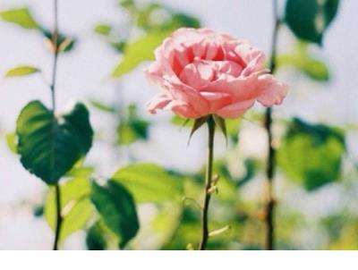 适合发朋友圈简单干净的句子 2021摆地摊新产品