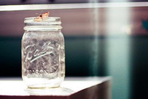 适合发朋友圈简单干净的句子 2021摆地摊新产品