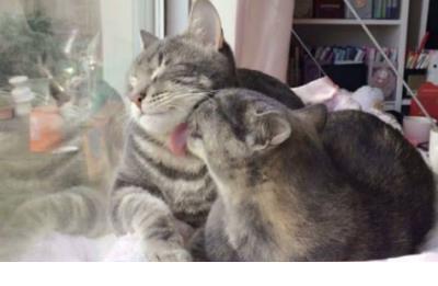 夏天真热啊把句子写具体 夏天热的搞笑朋友圈