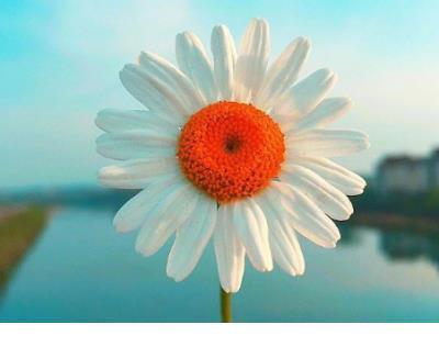 大学生失眠越来越严重 失眠睡不着的说说