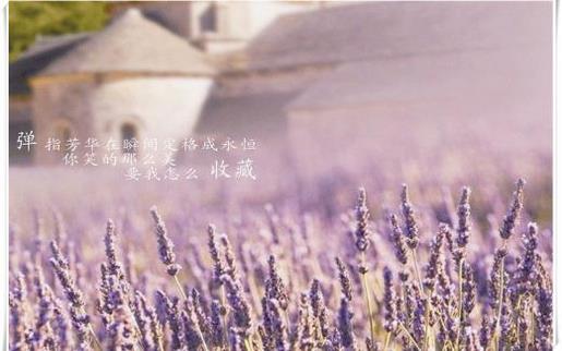 励志句子经典语句