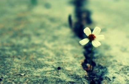 qq情侣说说暖心 qq个性说说伤感超拽