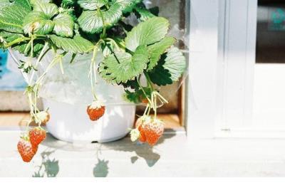 微信朋友圈伤感说说 适合寒假发的微信推文