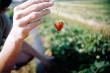 失去亲人的痛苦句子说说心情短语 他不会因为你