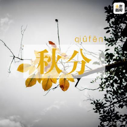 阳光简短励志唯美句子 女生励志说说