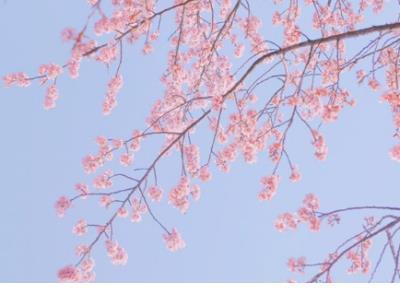 发快手的文案伤感 快手文案大全