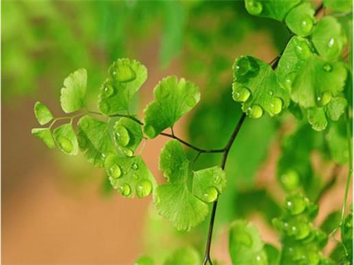 日升日落日旧旧依久久