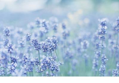 鹰击天风壮，鹏飞海浪春