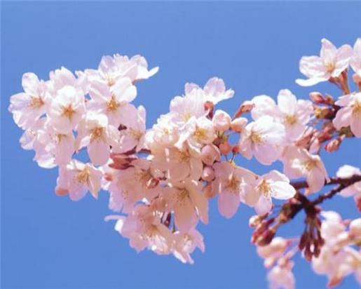 微信朋友圈励志说说带图 冬天朋友圈说说心情短