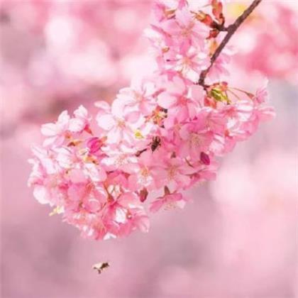 八字人生格言励志短句 励志短语正能量短句十字
