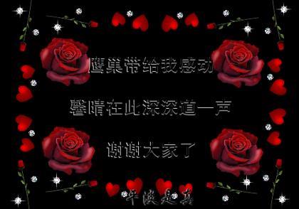 清晨的日出的唯美句子 日出唯美短句八个字