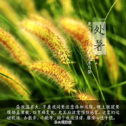 发朋友圈的精美句子短