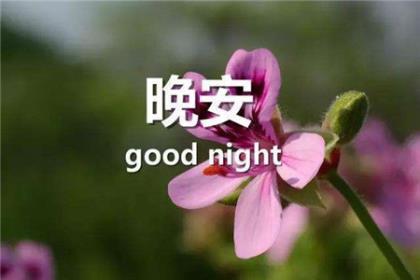 努力奋斗励志语录 早晨励志短语句子