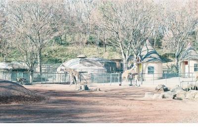 找回自信的句子简短 鼓励自己自信的壁纸