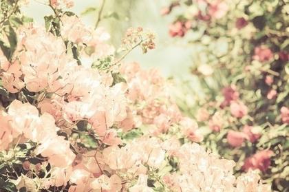 创业励志的句子说说心情 励志说说致自己带图