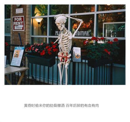 情话最暖心短句十字 很甜很撩的句子