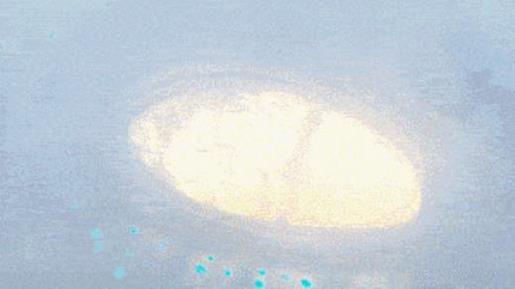 初三中考励志句子 100句鼓励自己的励志名言