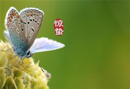 早安心语正能量一句话 早安正能量的句子经典语