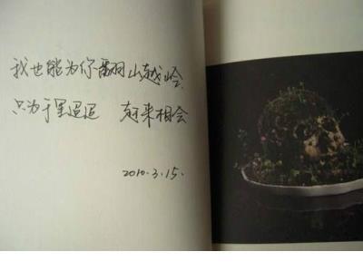 对这个世界失望的说说