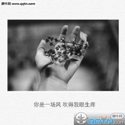 人生感悟的句子简短的 人生伤感句子句句心痛