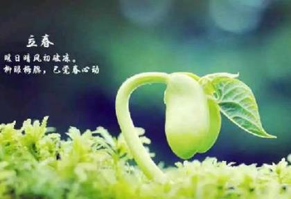 让我们用闪耀的星星互相询问