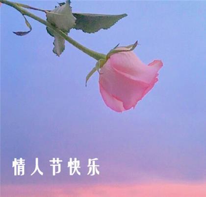 2021适合发朋友圈的晚安短句 激励自己的话奋斗的