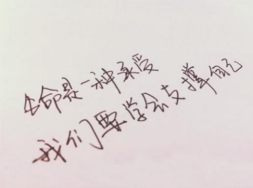 清晨语录与感悟句子