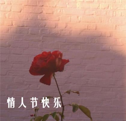 朋友圈爱情说说大全