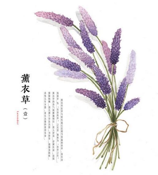 快手个性签名 因为有一个家庭,我很快乐