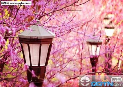 形容笑容很灿烂的词