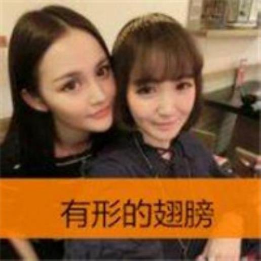 关于友情的唯美句子短 宿舍友情的句子唯美