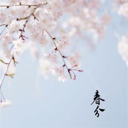 睡不着心里烦的说说 今天心里很高兴