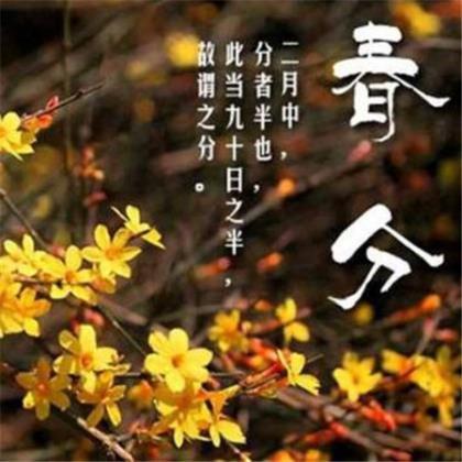 2021关于感恩的句子 健忘总比什么都记得好